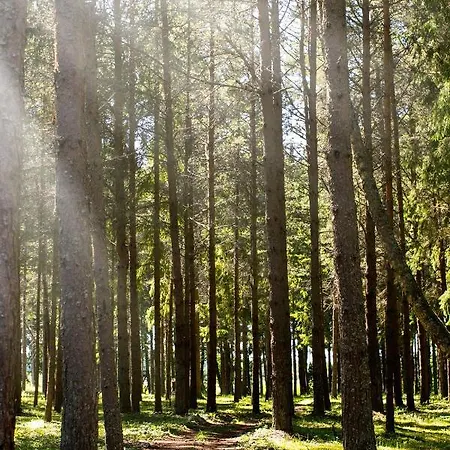 Prázdninový dům Ungru
